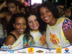 Bloco Skol Folia